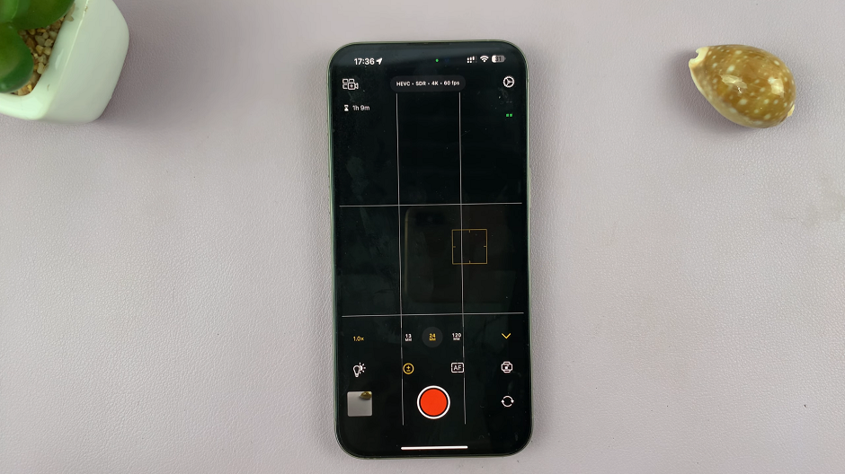 Enable Grid Lines In Final Cut Camera App