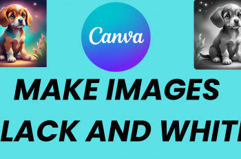 How To Make Image Black & White In Canva