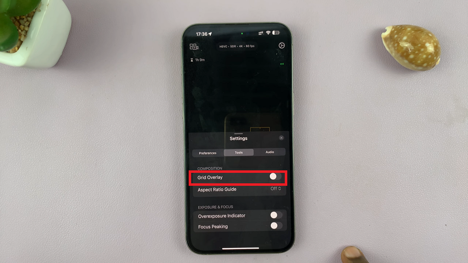 How To Disable Grid Lines In Final Cut Camera App