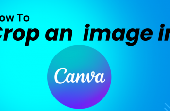 How To Crop An Image In Canva