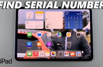 How To Find Serial Number On iPad