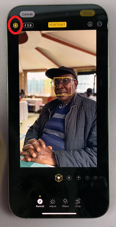 Portrait Styles On iPhone 16