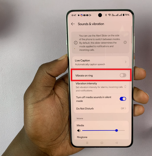 How To Enable Vibration During Incoming Calls On OnePlus 13