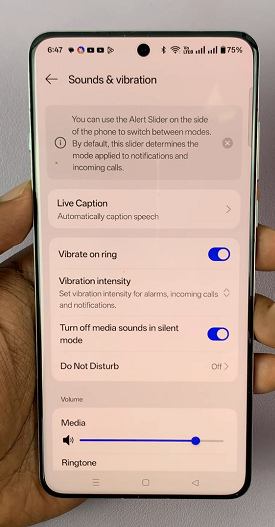 How To Disable Vibration During Incoming Calls On OnePlus 13