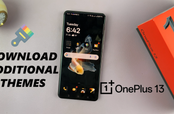 How To Download Additional Themes On OnePlus 13