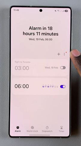 Alarm Menu Options