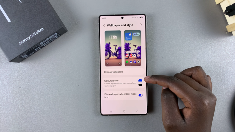 Colour Palette Settings On Galaxy S25