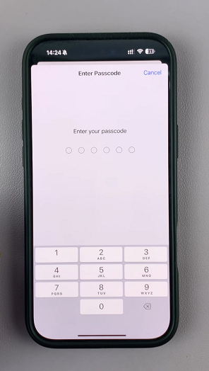 Enter iPhone Passcode