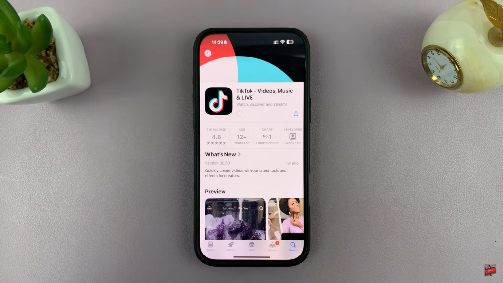 Install TikTok App On iPhone