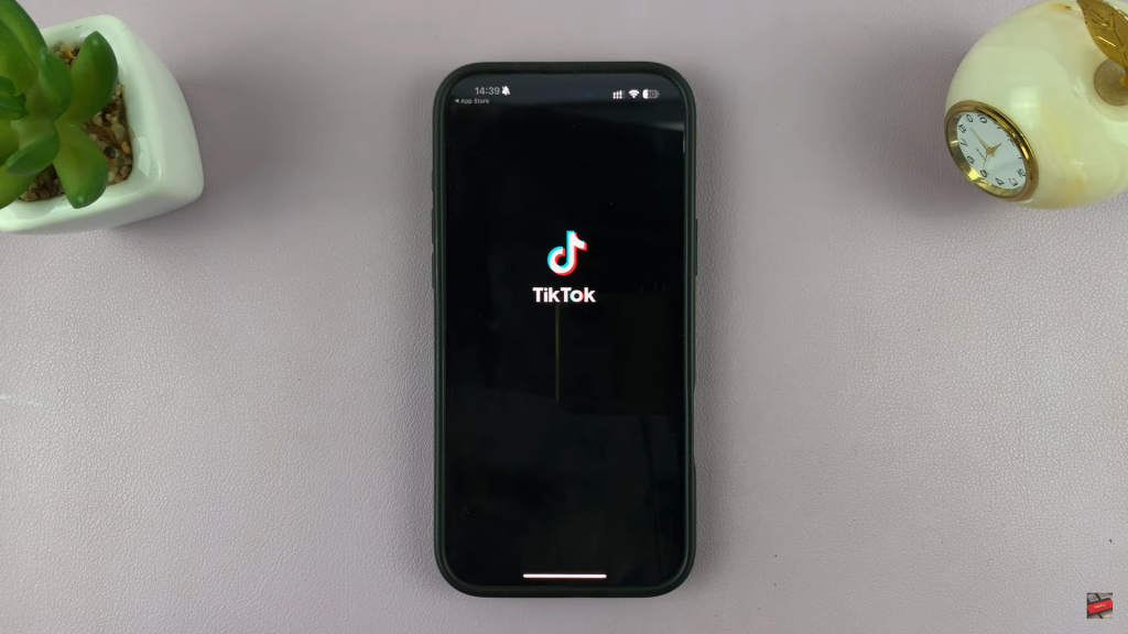 Install TikTok App On iPhone